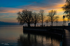 Lake Constance 2021