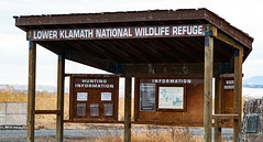 Lower Klamath National Wildlife Refuge