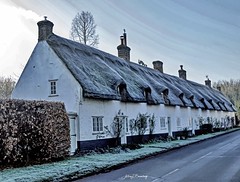 Thatched Buildings