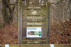 Owlet Wood 27/02/2021