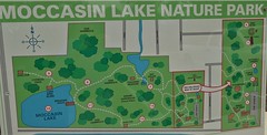 Moccasin Lake Nature Park Clearwater FL Feb 2020
