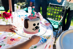 Dog Cake and Anna's Birthday