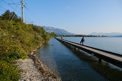 Sentier pédestre "Au fil de l'eau" (Lac du Bourget)