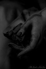 Hands - Cemetery Impressions