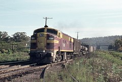 NSW Trains - Short North, KF