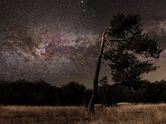 Astronomía - Vía Láctea