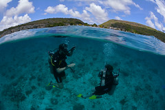Curacao scuba diving 2021