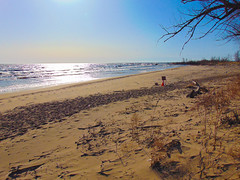 An Illinois Secret Beach at the Great Lakes Naval Station