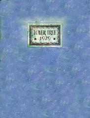 1929 Tower Tree yearbook