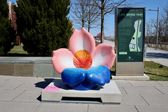 Art in Bloom: Cherry Blossom Statues around DC