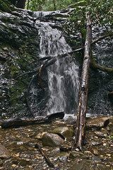 Waterfall Wednesday