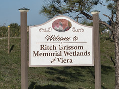 Four Mornings at Grissom Wetlands