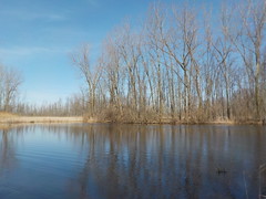 March 25, 2021 at the Iroquois National Wildlife Refuge