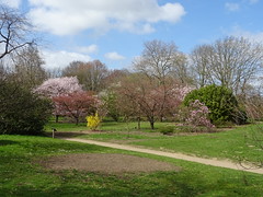 Belmonte Arboretum Wageningen