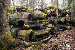 Classic Car Cemetery In The Forest, Sweden