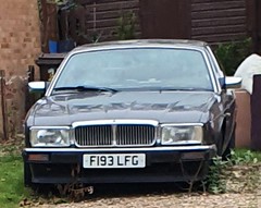 Daimler/jaguar