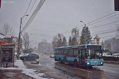 Public transporation in Târgovişte 