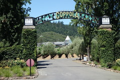 Winery - Coppola