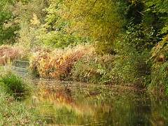 Cromford Canal - Autumn