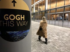 Imagine Van Gogh Exhibition - March 2021