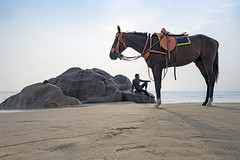 Mahabalipuram Horse
