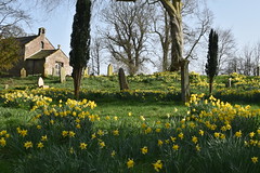 Spring arrives at Brampton Old Church