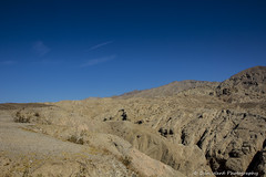 Anza Borrego Desert State Park ~ Spring 2021