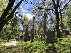 Gravestones and trees, shadows and sunlight, Oak Hill Cemetery, Georgetown, Washington, D.C.