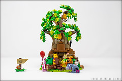 LEGO Ideas - Winnie the Pooh (21326)