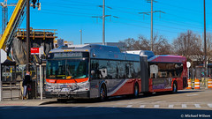 WMATA Metrobus 2020 New Flyer Xcelsior XD60 #5503