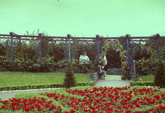 Gateshead Garden Festival 1990