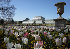 Kew Gardens - April 2021