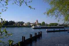 Basler Rheinhafen