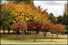 Those Autumn Leaves begin to fall New England Highway and Scenes