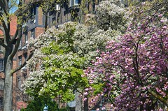 Spring On Continental Avenue