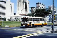 TIBS buses '91