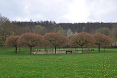 2021 - 30. April - Wanderung Friesenhausen, Fohlenweide - 15,4 km