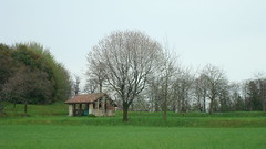 in the surroundings of Merate