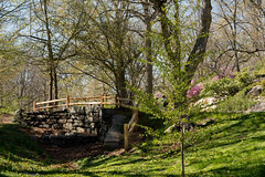 Spring time at the Arnold Arboretum Landscape