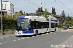 TL Trolleybus LighTram DC® 19