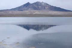 De Chungarà a Antofagasta. Chile. 2019