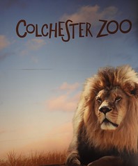 ~ Colchester Zoo ~