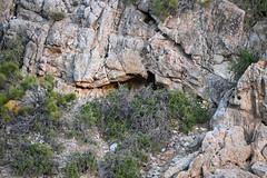 Oak Creek Cave