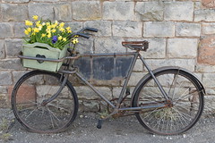 Derek's Bicycle