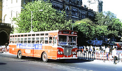 BEST Buses '91