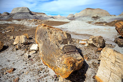 Petrified Forest National Park (May 1, 2021)