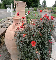 White Flower Farm 2005 . LITCHFIELD CT, America