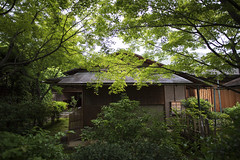 (Kyoto) Daitoku-ji Ōbai-in 黄梅院