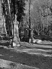 Hull General cemetery Monochrome 5 April 2021