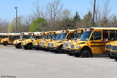 Tennessee School Buses